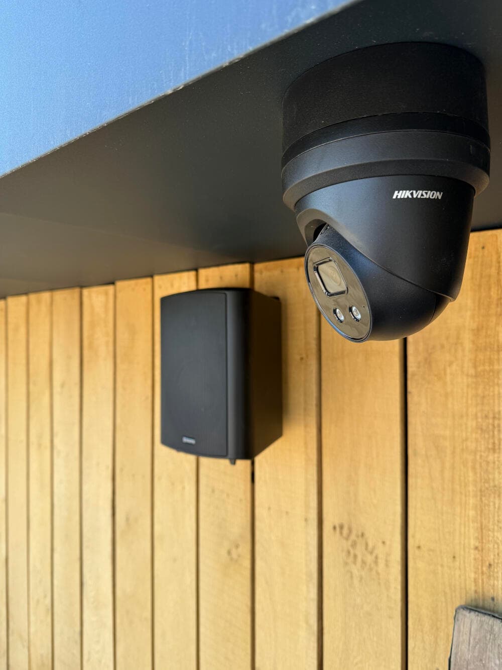 Max_Coutts_Dragonfly_1