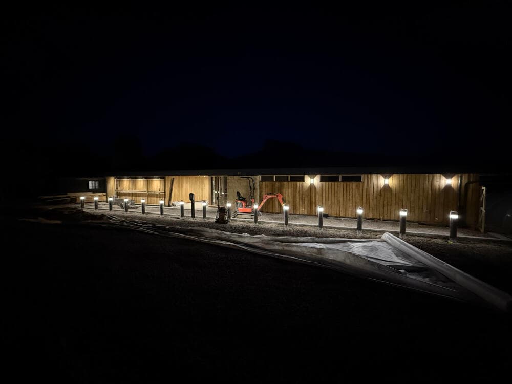 Max_Coutts_Dragonfly_11