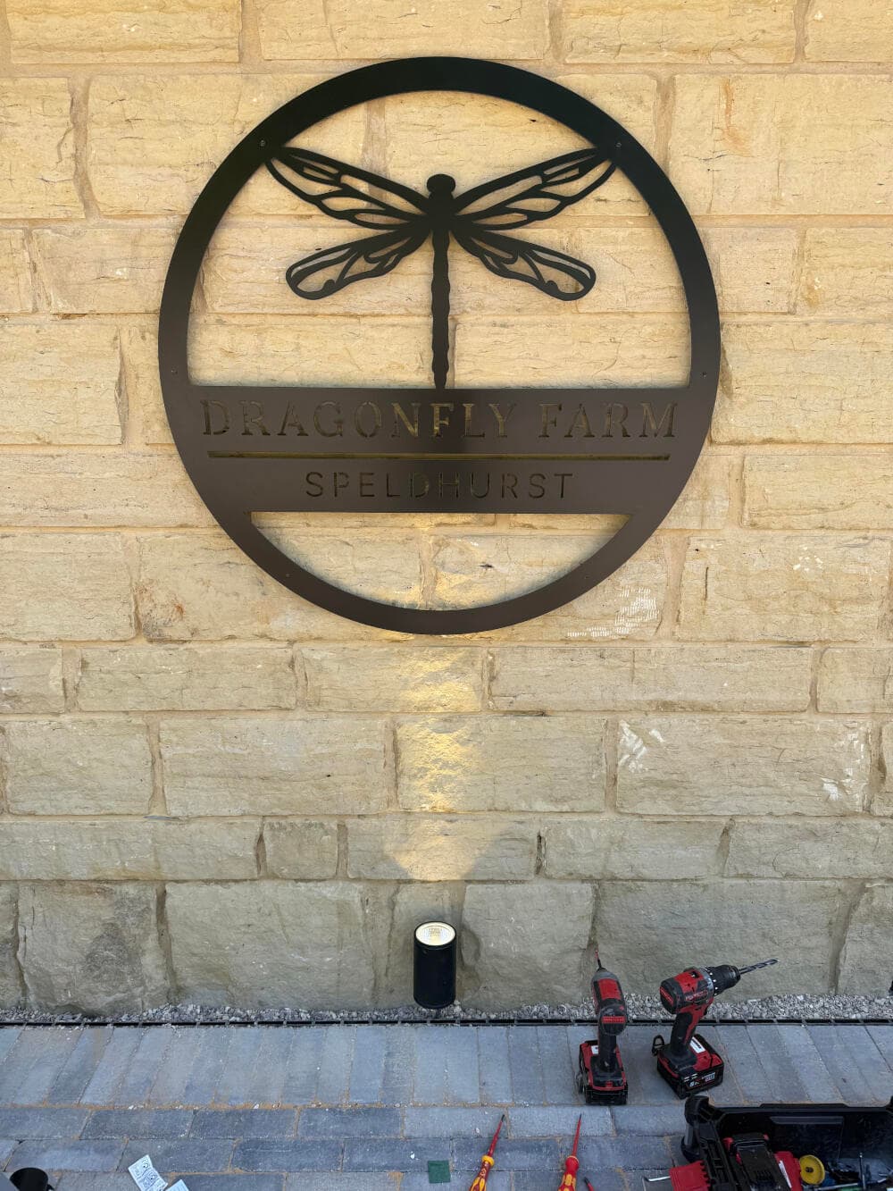 Max_Coutts_Dragonfly_12