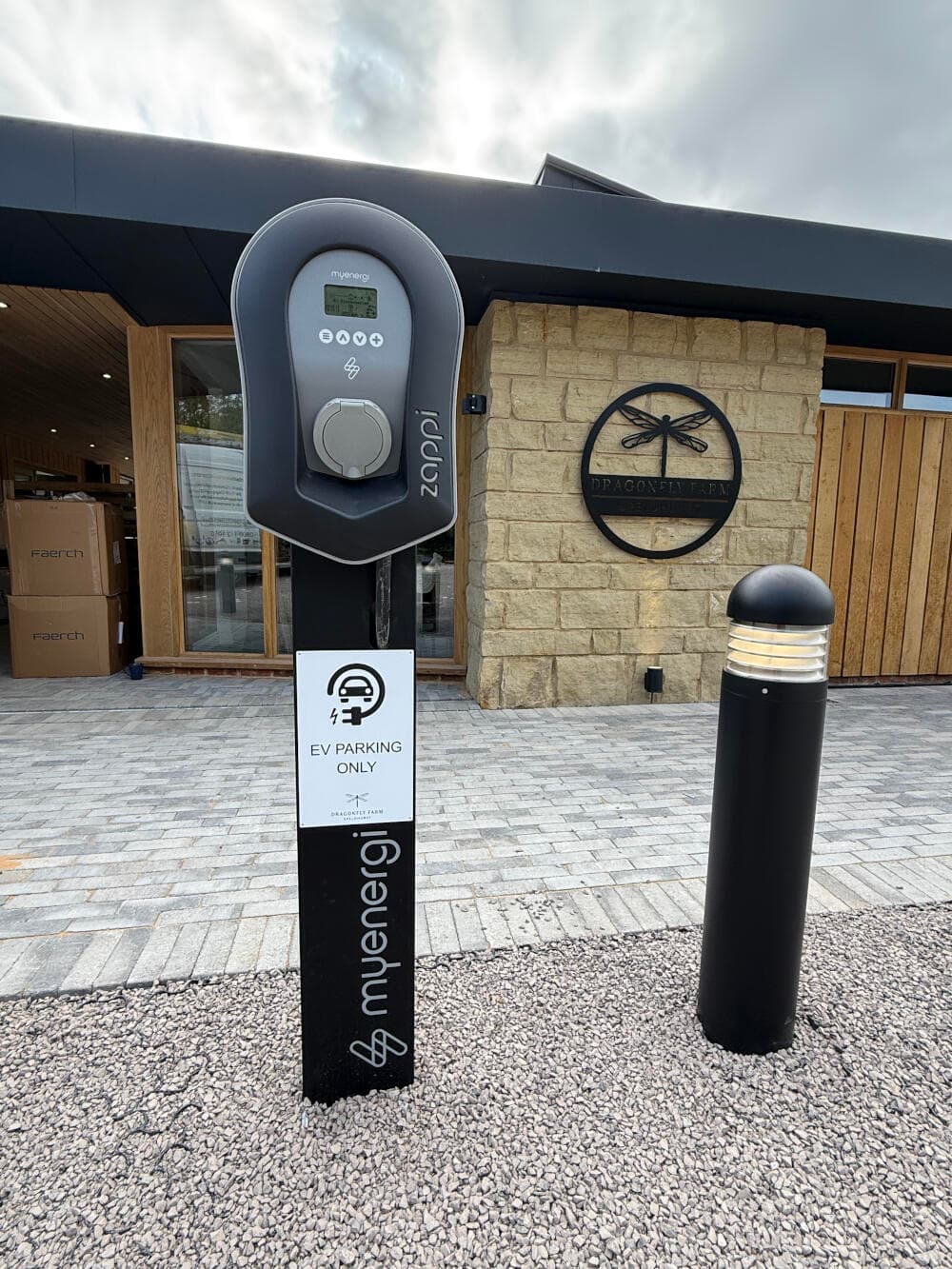 Max_Coutts_Dragonfly_13