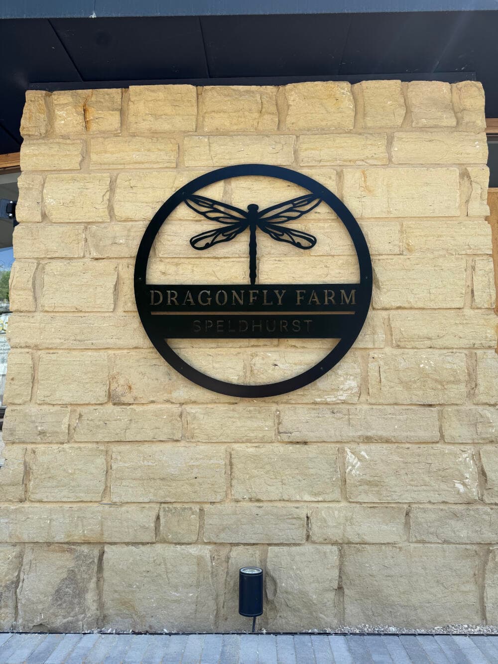 Max_Coutts_Dragonfly_17