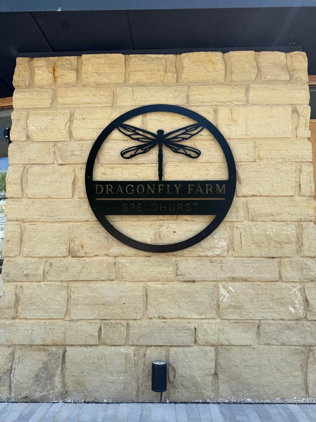 Max_Coutts_Dragonfly_17