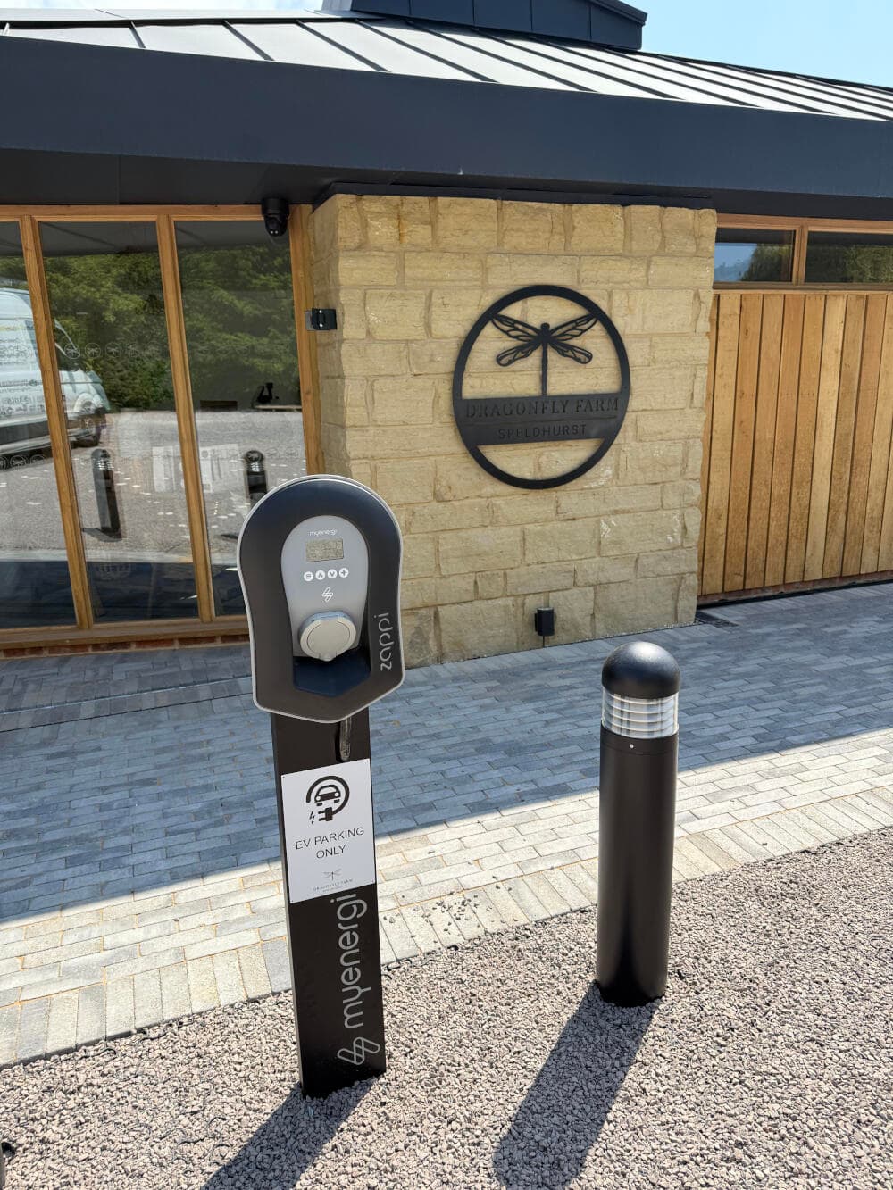 Max_Coutts_Dragonfly_18