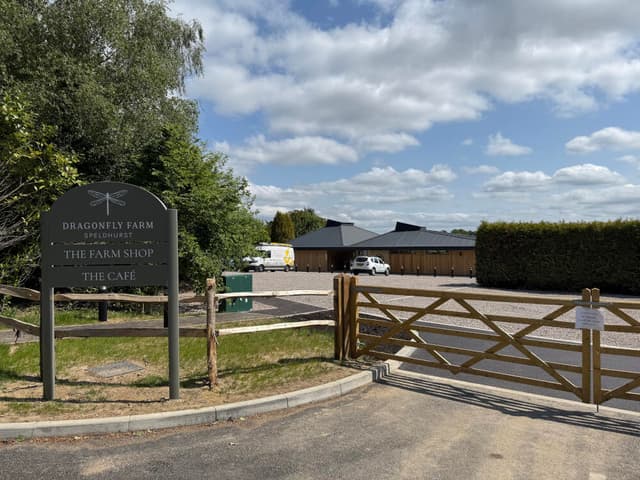 Max_Coutts_Dragonfly_21