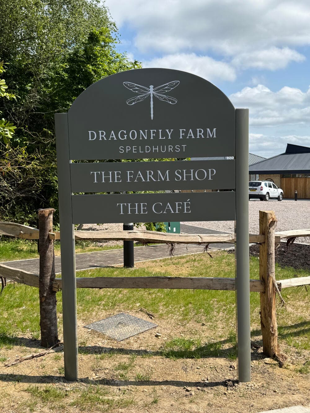 Max_Coutts_Dragonfly_22