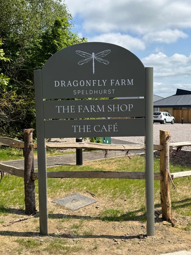 Max_Coutts_Dragonfly_22