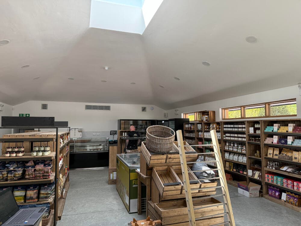 Max_Coutts_Dragonfly_23