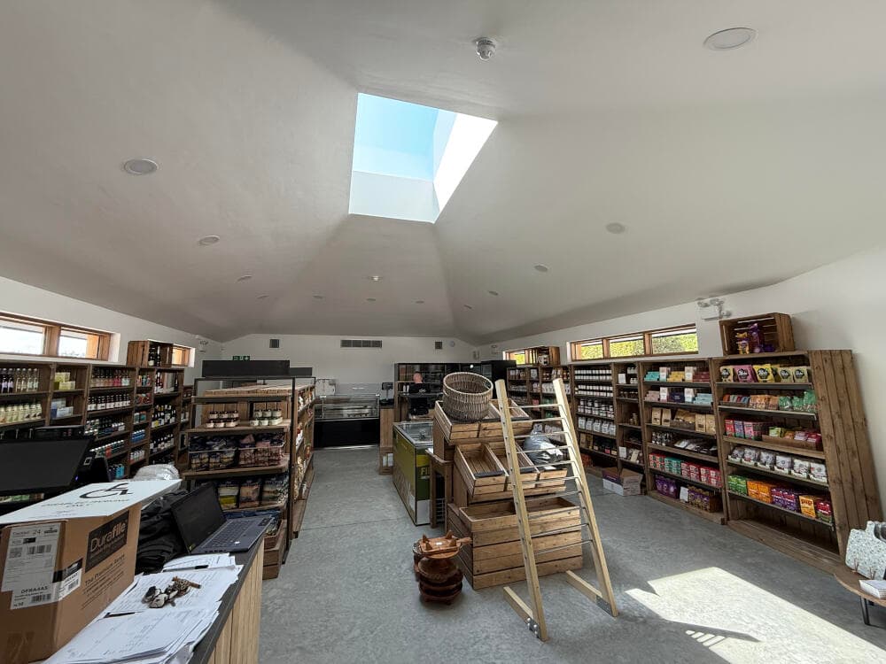 Max_Coutts_Dragonfly_24