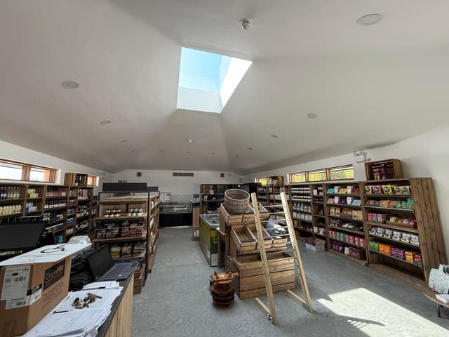 Max_Coutts_Dragonfly_24