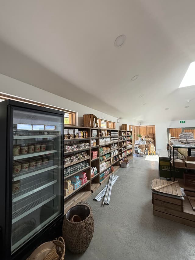 Max_Coutts_Dragonfly_25