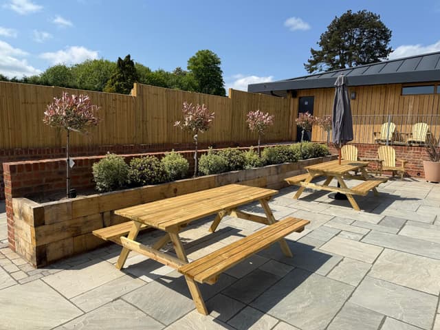 Max_Coutts_Dragonfly_28