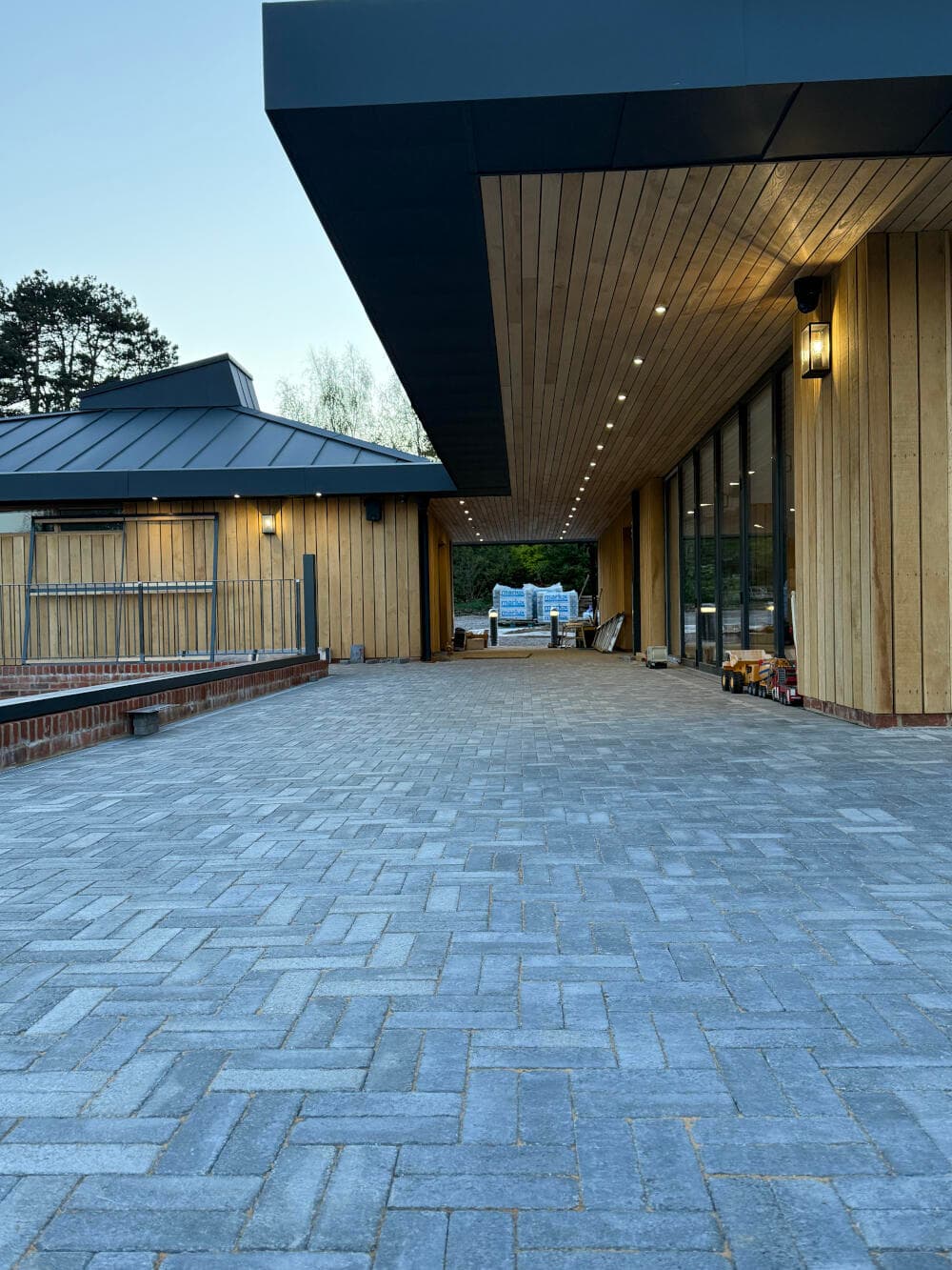 Max_Coutts_Dragonfly_5