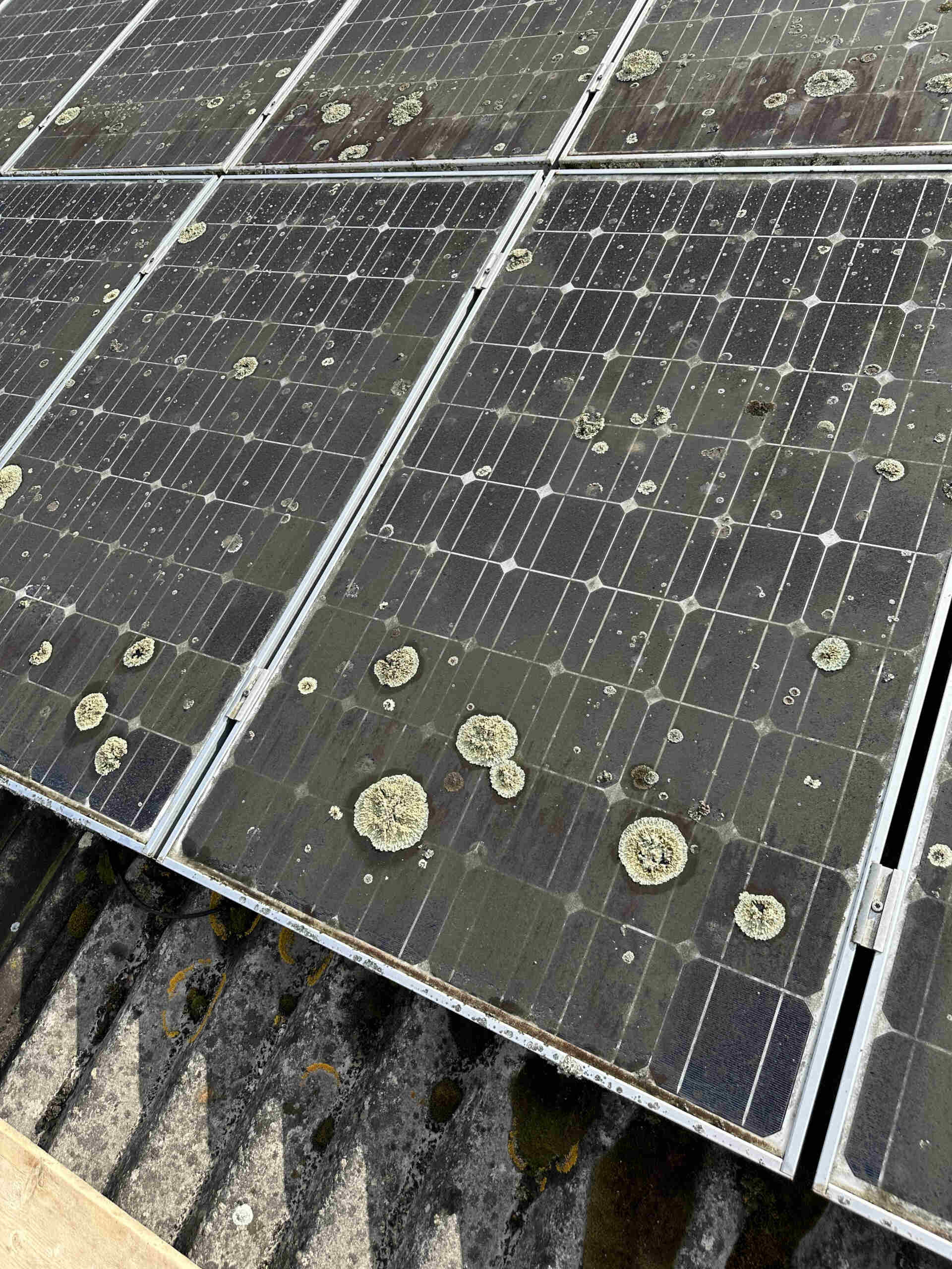 Solar Panel Cleaning Costs