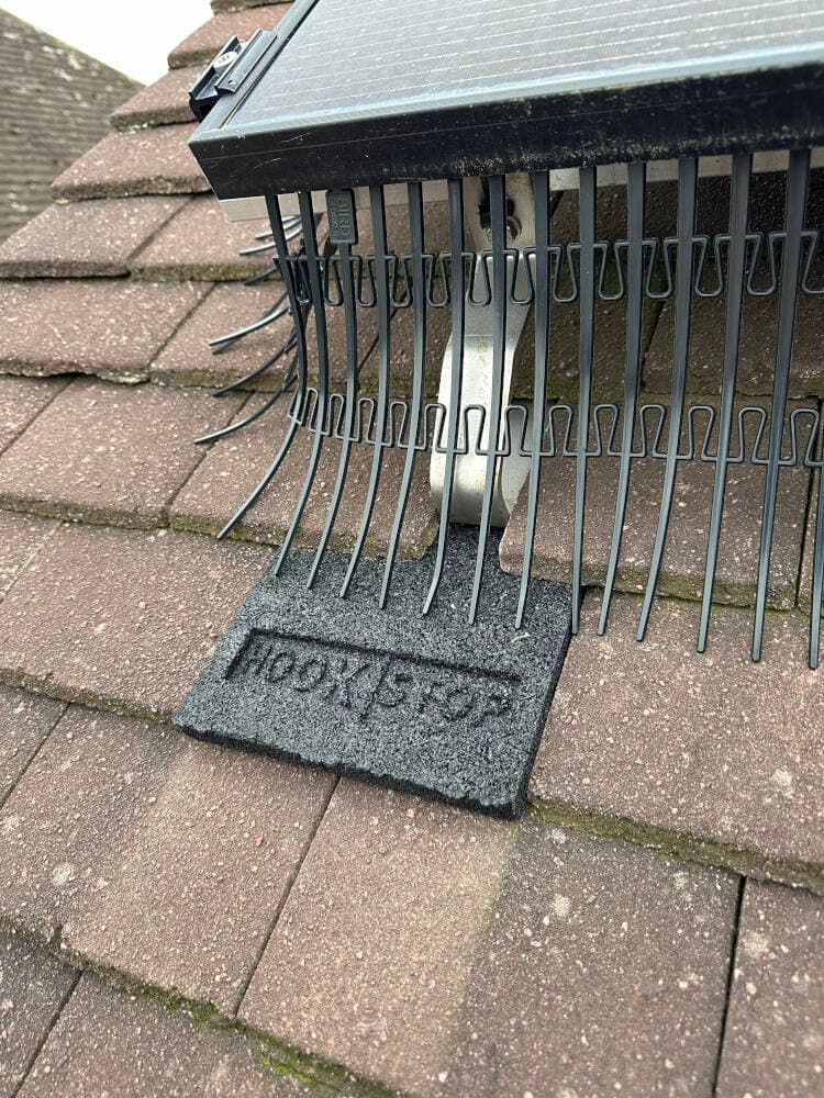 Coutts Electrical Contractors 64