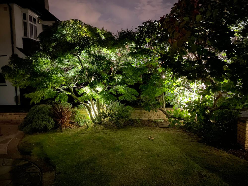 Uplit trees and planting in a Kent garden at night, lit by a Coutts Electrical lighting scheme
